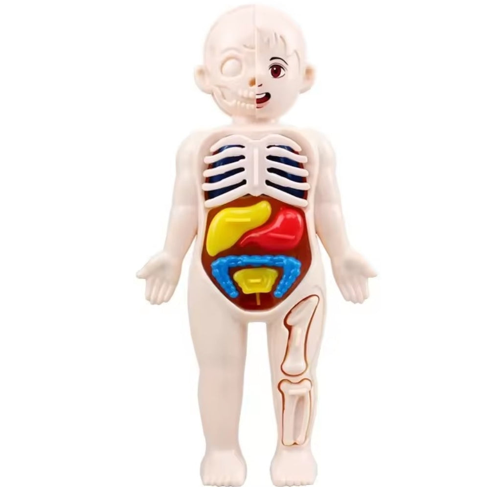 BodyQuest™