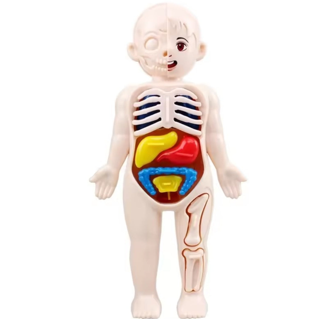 BodyQuest™