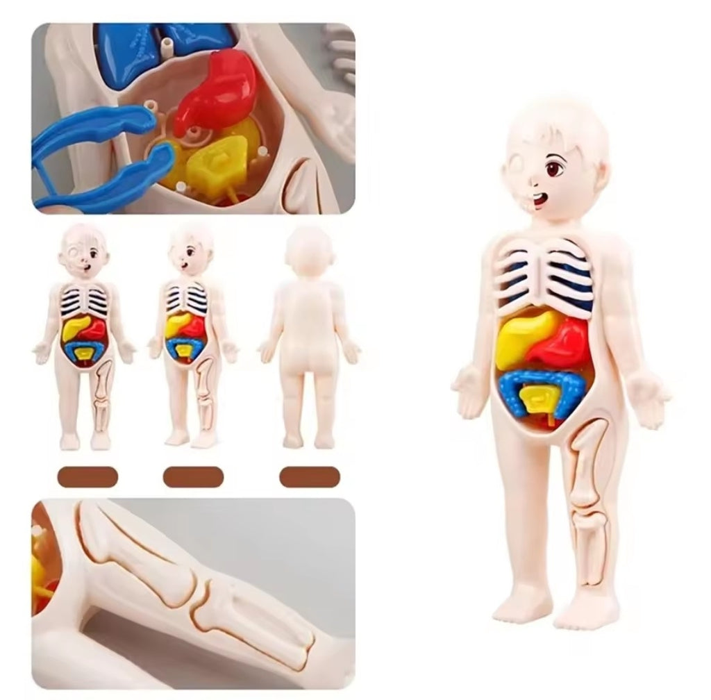 BodyQuest™
