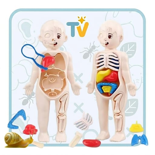 BodyQuest™